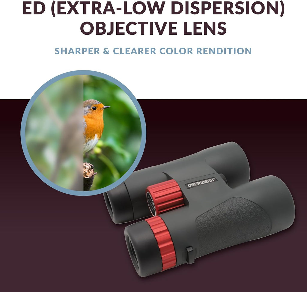 Oberwerk Sport ED 10x42 Professional Binoculars, Roof Prism, Fully Multi-Coated & Waterproof, Dielectric & Phase-Coated Prisms, Twist-Up Eyecups, Bird Watching, Hiking & Outdoor Use, Green