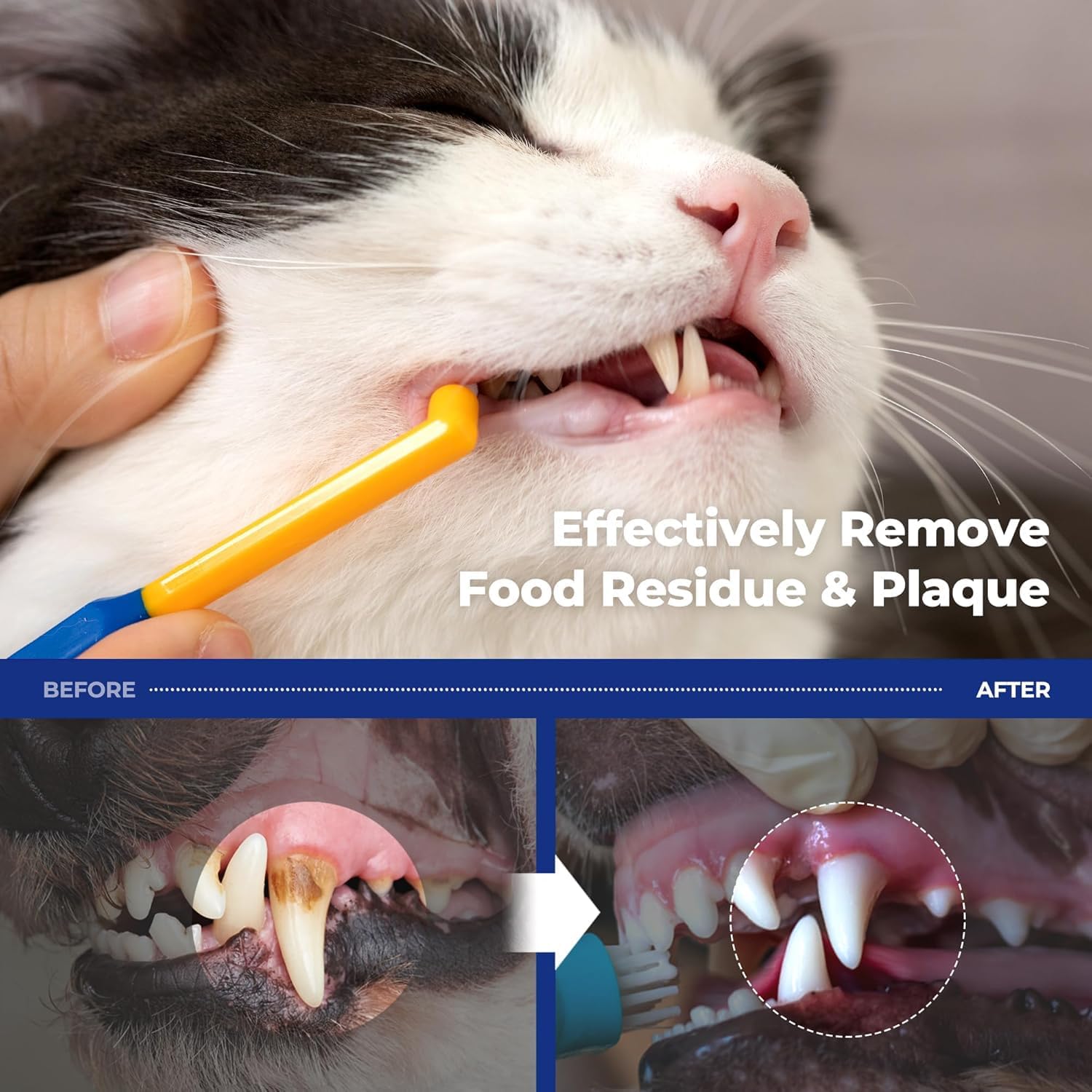 PETHROOM Pet Toothbrush for Cats & Dogs, 4mm Precision Head (Deep Point)