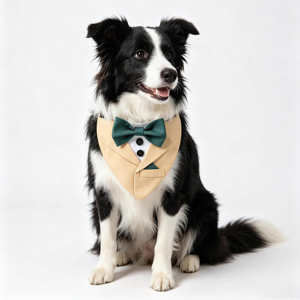 Yellow Dog Bandana with Green Bowtie, Formal Dog Collar Costume, Tuxedo Dog Collar for Wedding Engagement and Birthday (L)