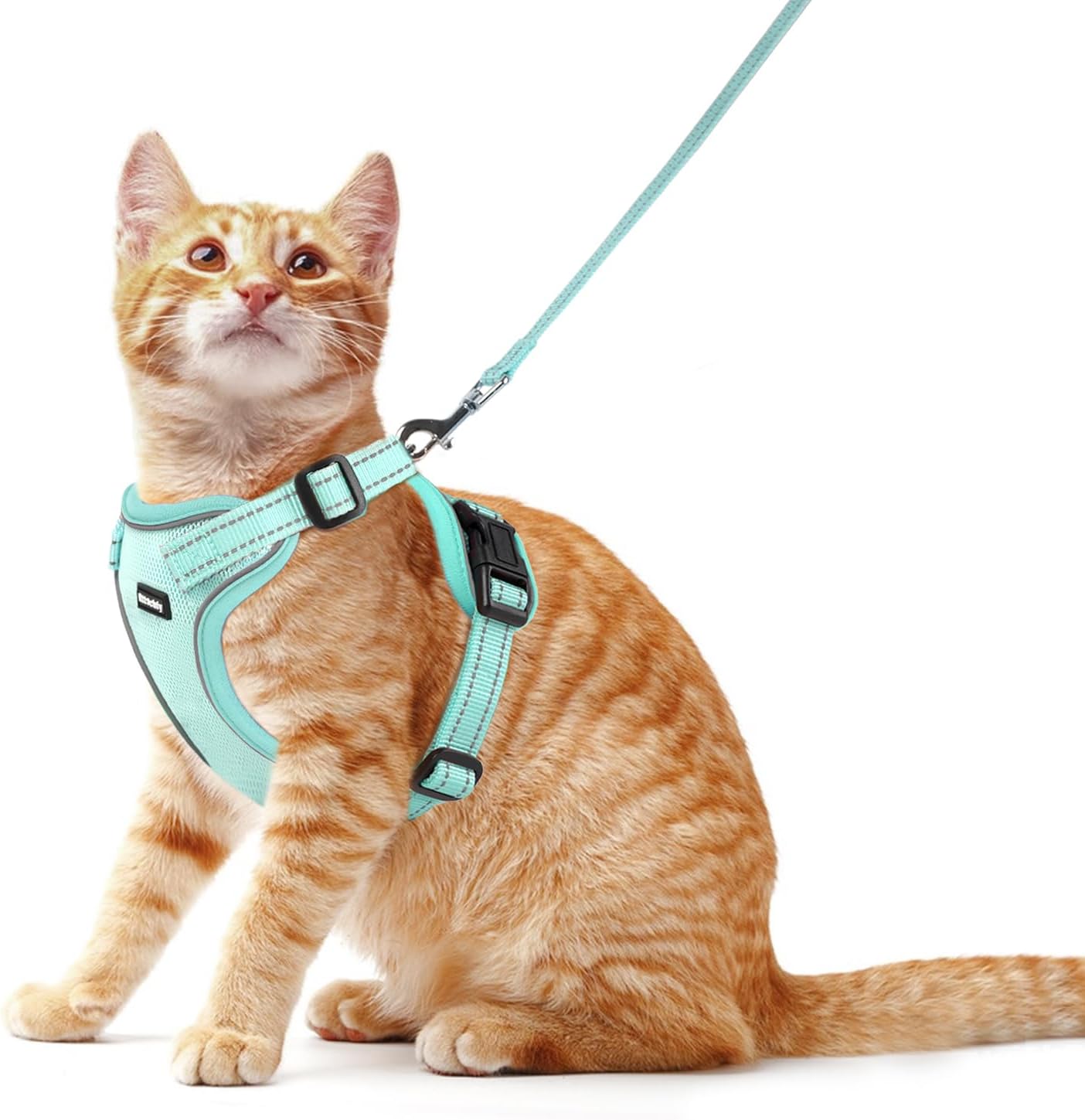 Cat Harness and Leash Set, Escape Proof Cat Harness with Reflective Strips, Breathable Mesh Vest, Adjustable Walking Harness for Indoor Outdoor Cats, Kittens, Small Medium Large Cats (Orange, S)