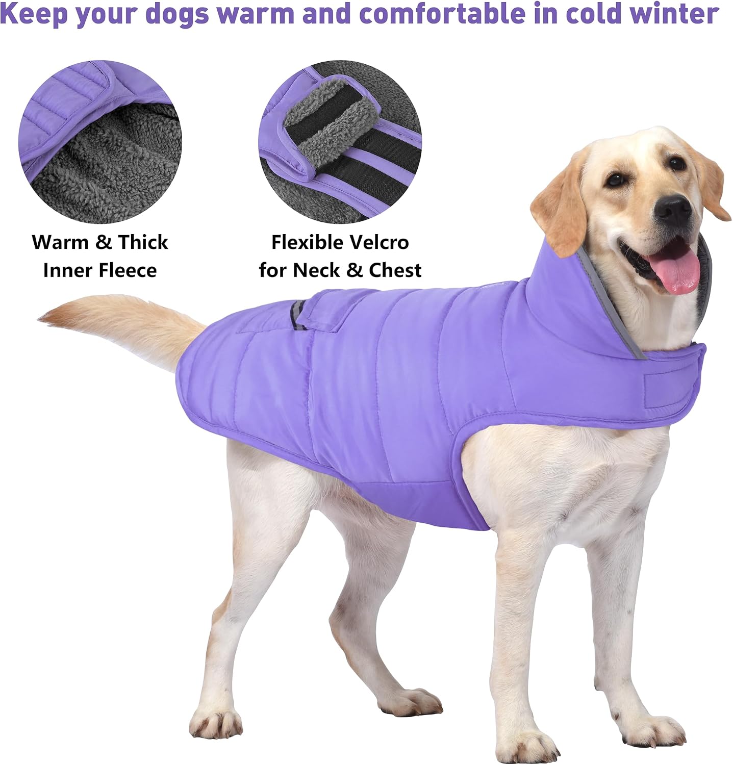 Petglad Dog Coat, Waterproof Dog Winter Jacket with Pocket, Reflective Adjustable Pet Snow Vest, Warm Cozy Fleece Sweater for Small Medium Extra Large Dogs - Blue, S