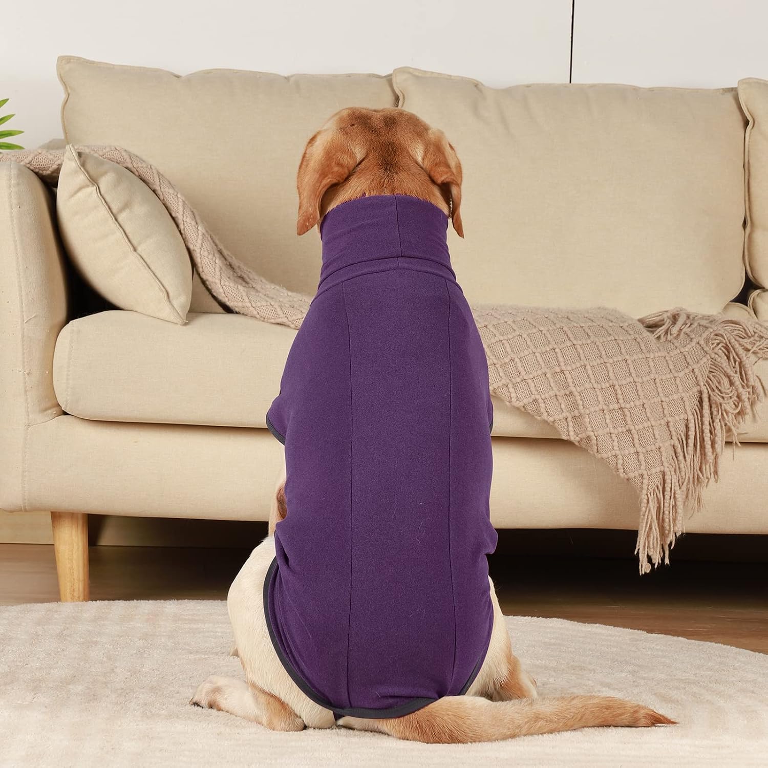 ROZKITCH Dog Sweater S, Warm Turtleneck Shirt for Medium Dogs