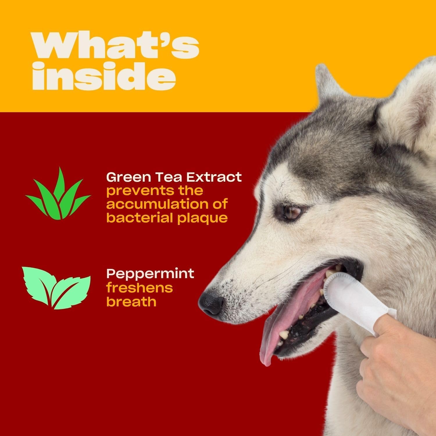 OH NORMAN! Dog Dental Finger Wipes, Fresh Breath, Vet Developed, 50 Ct