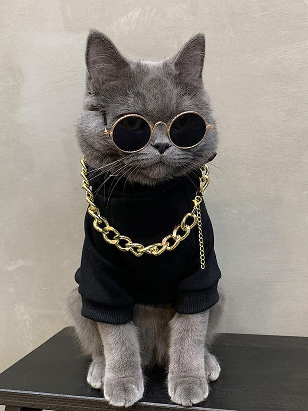 QWINEE 3Pcs Dog Hoodie Cat Apparel Dog Custume Set with Necklace and Sunglasses Pet Clothes for Puppy Small Medium Dogs Cats Multicolor S