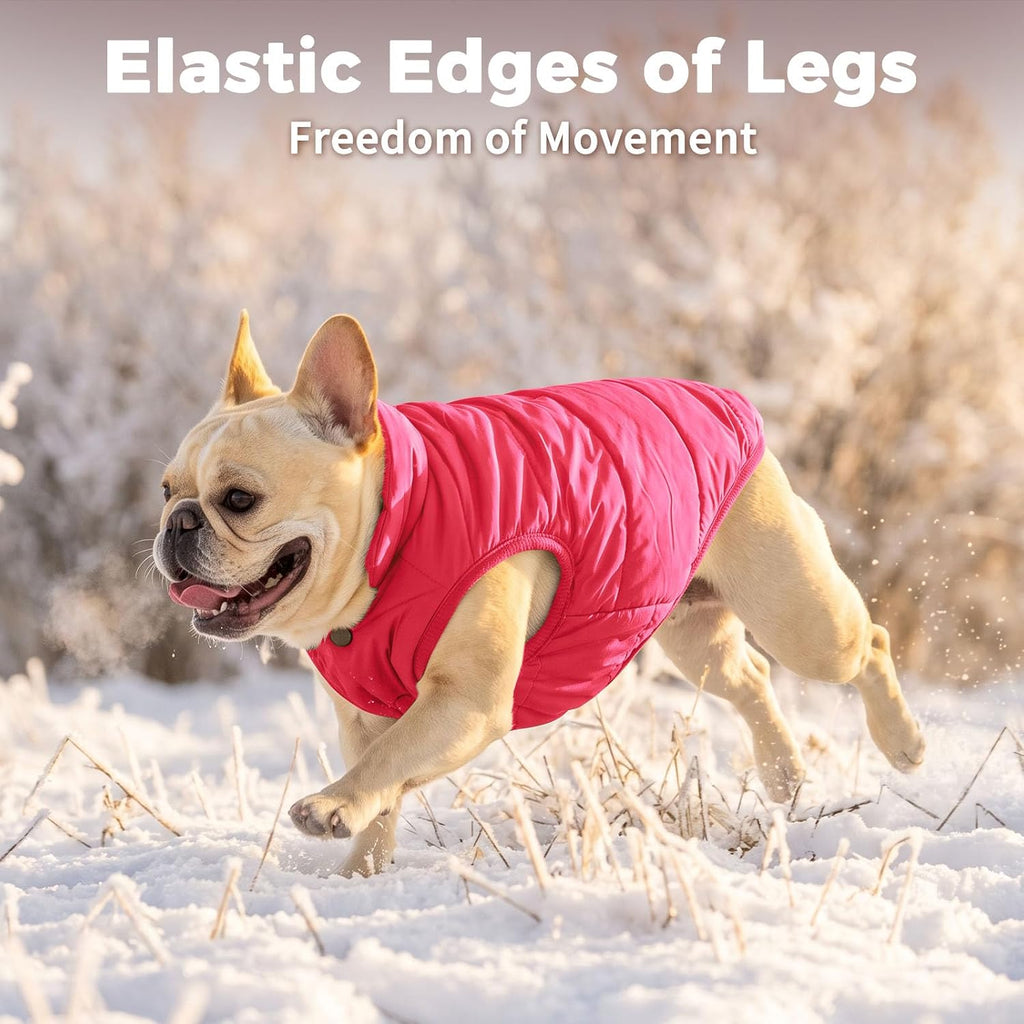 JoyDaog Fleece Lined Dog Jacket for Small Dogs,Winter Dog Coat,Pink M