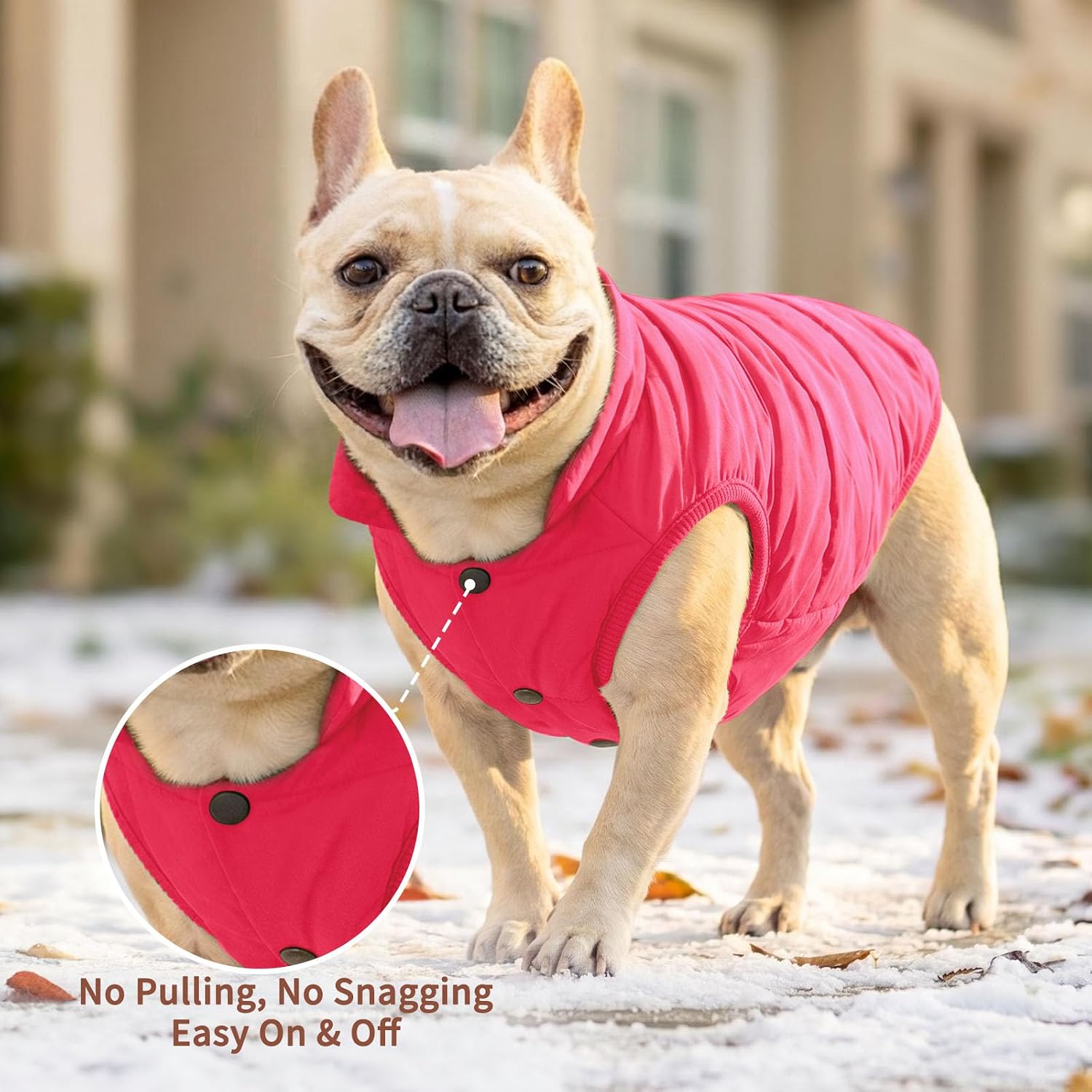 JoyDaog Fleece Lined Dog Jacket for Small Dogs,Winter Dog Coat,Pink M