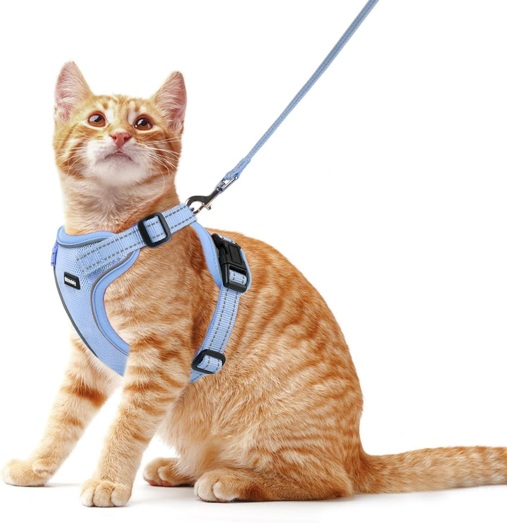 Cat Harness and Leash Set, Escape Proof Cat Harness with Reflective Strips, Breathable Mesh Vest, Adjustable Walking Harness for Indoor Outdoor Cats, Kittens, Small Medium Large Cats (Orange, S)