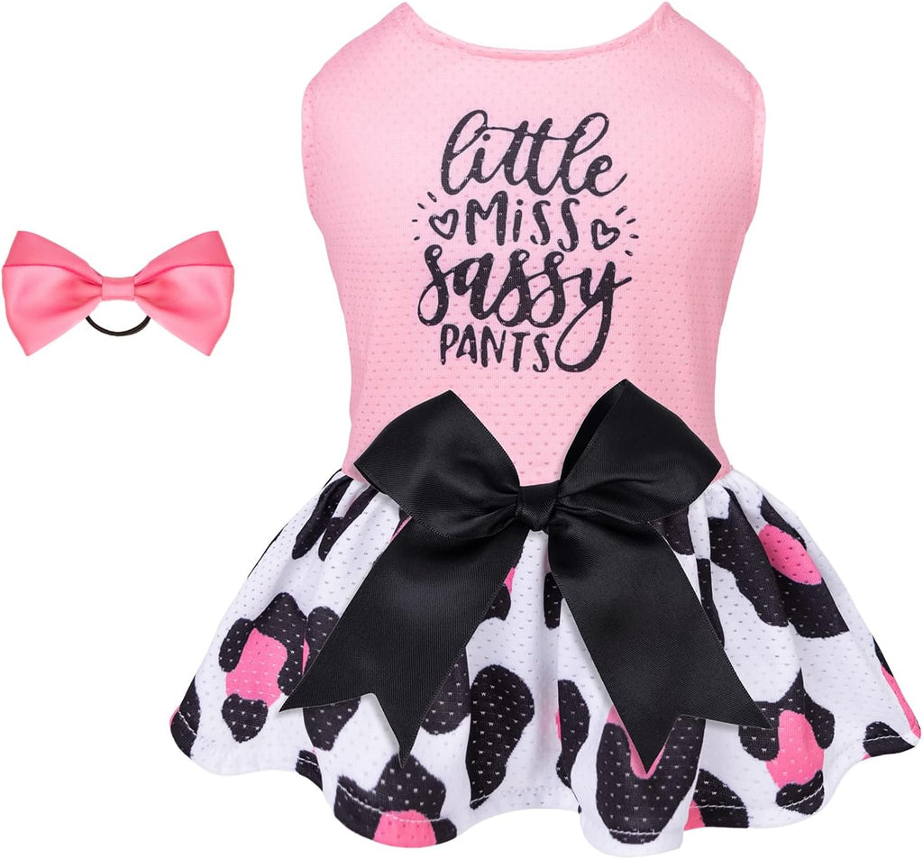 CuteBone Dog Mesh Dress Puppy Sundress Pet Outfit Summer Fashion for Small Dogs Girl Cat Clothes