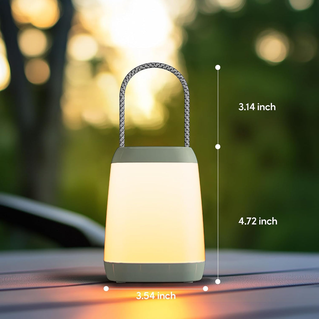 HOKOILN 2-Pack LED Camping Lights Battery Powered Portable Tent Lantern