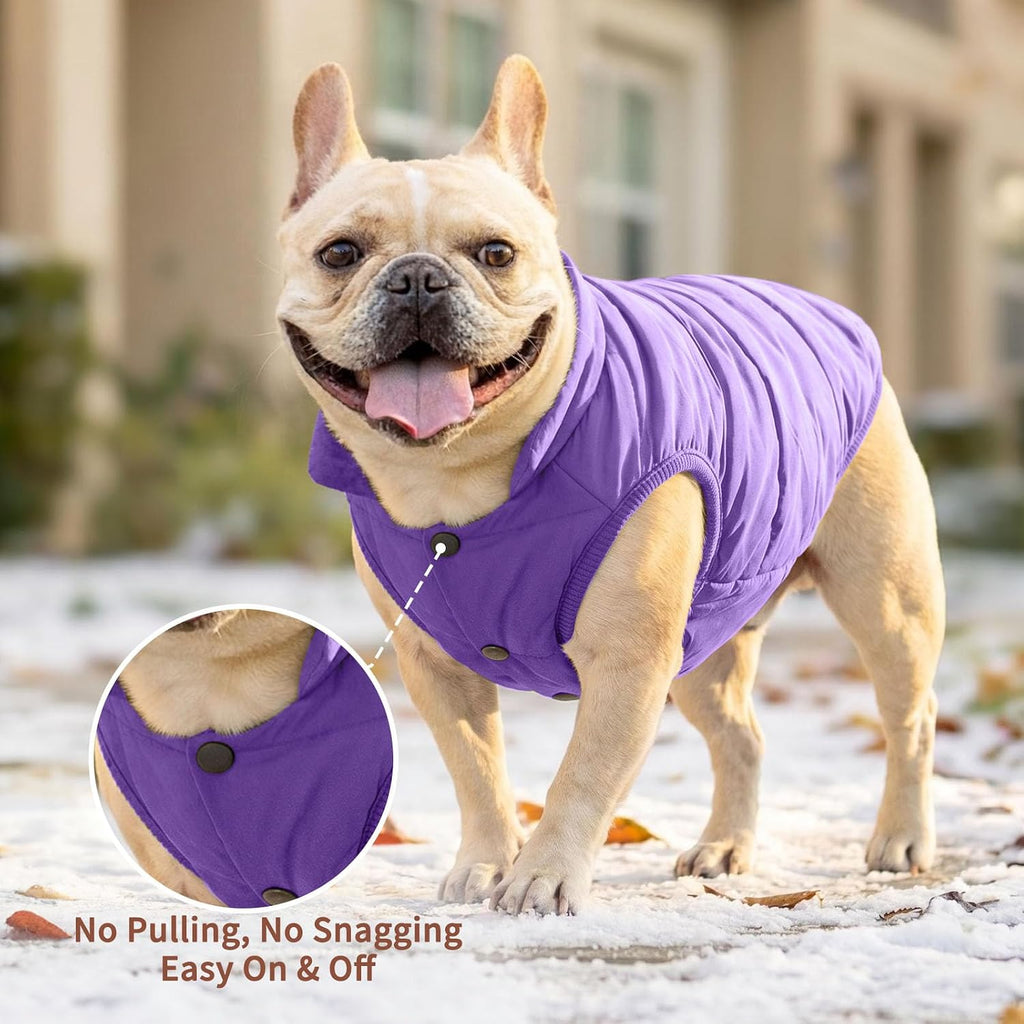 JoyDaog Fleece Lined Dog Jacket for Small Dogs,Winter Dog Coat,Purple M