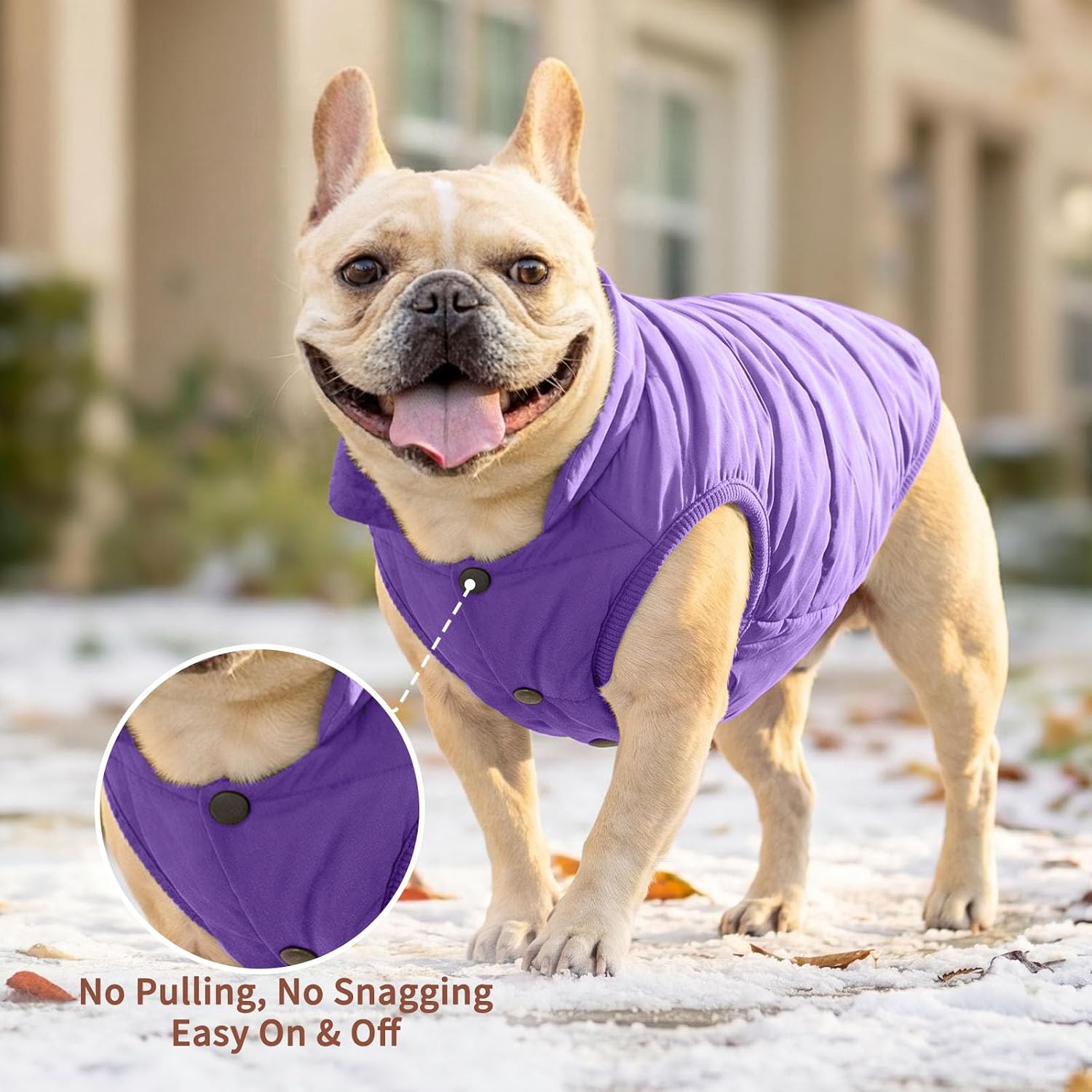 JoyDaog Fleece Lined Dog Jacket for Small Dogs,Winter Dog Coat,Purple M