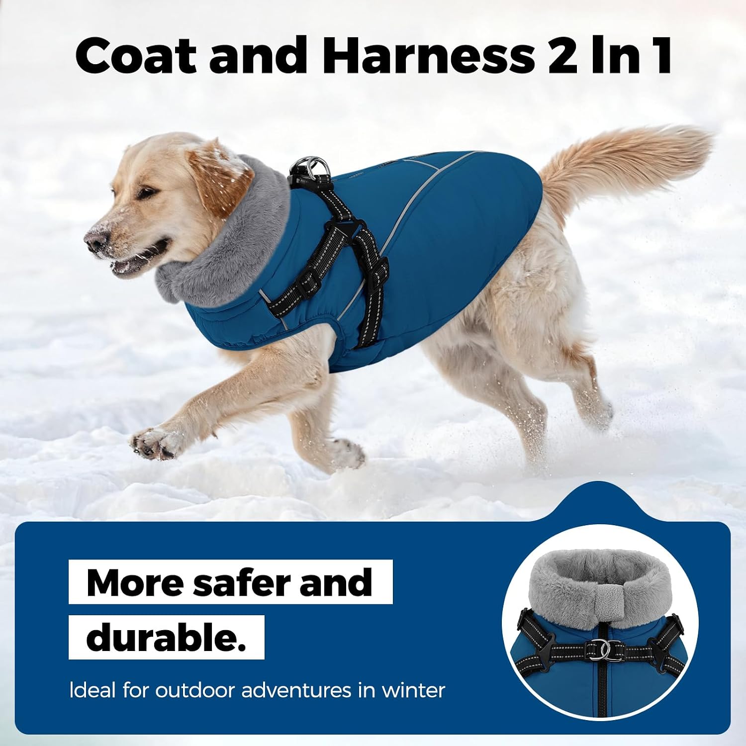Queenmore Small Dog Coat, Dog Coat for Small Dogs with Harness Built in