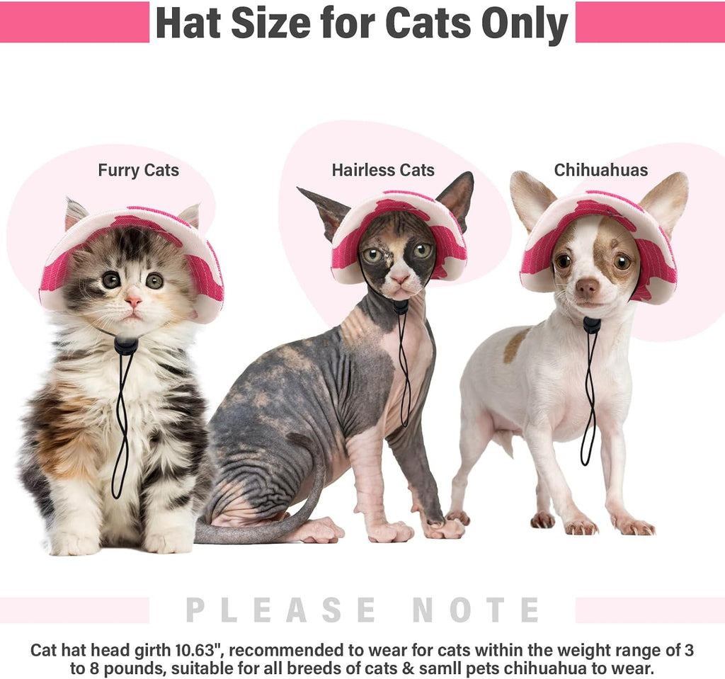 DENTRUN Cat Bucket Hat with Ear Hole, Cotton Birthday Bonnet for Small Pets