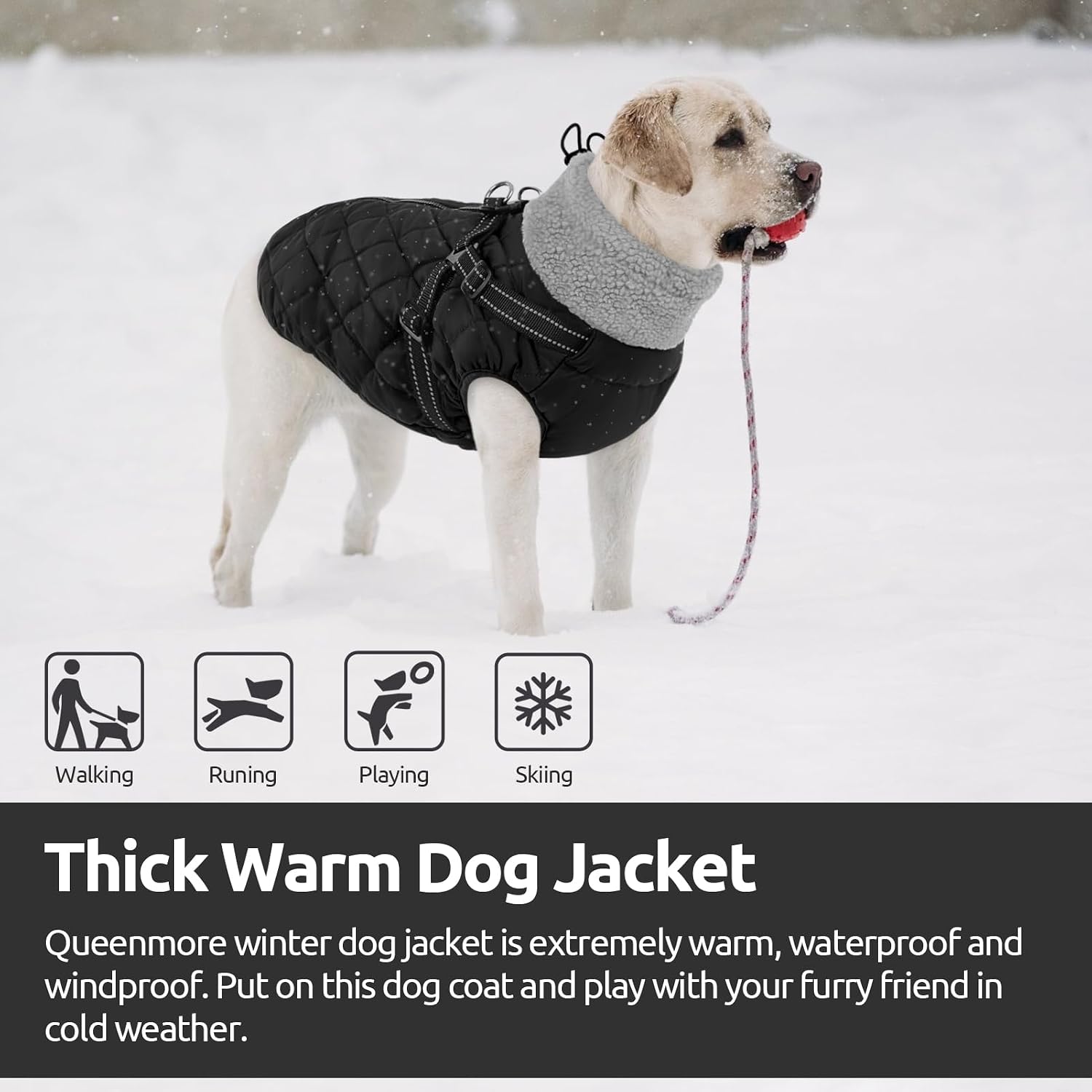 Queenmore Dog Winter Jacket Dog Coats for Large Dogs with Harness Built in