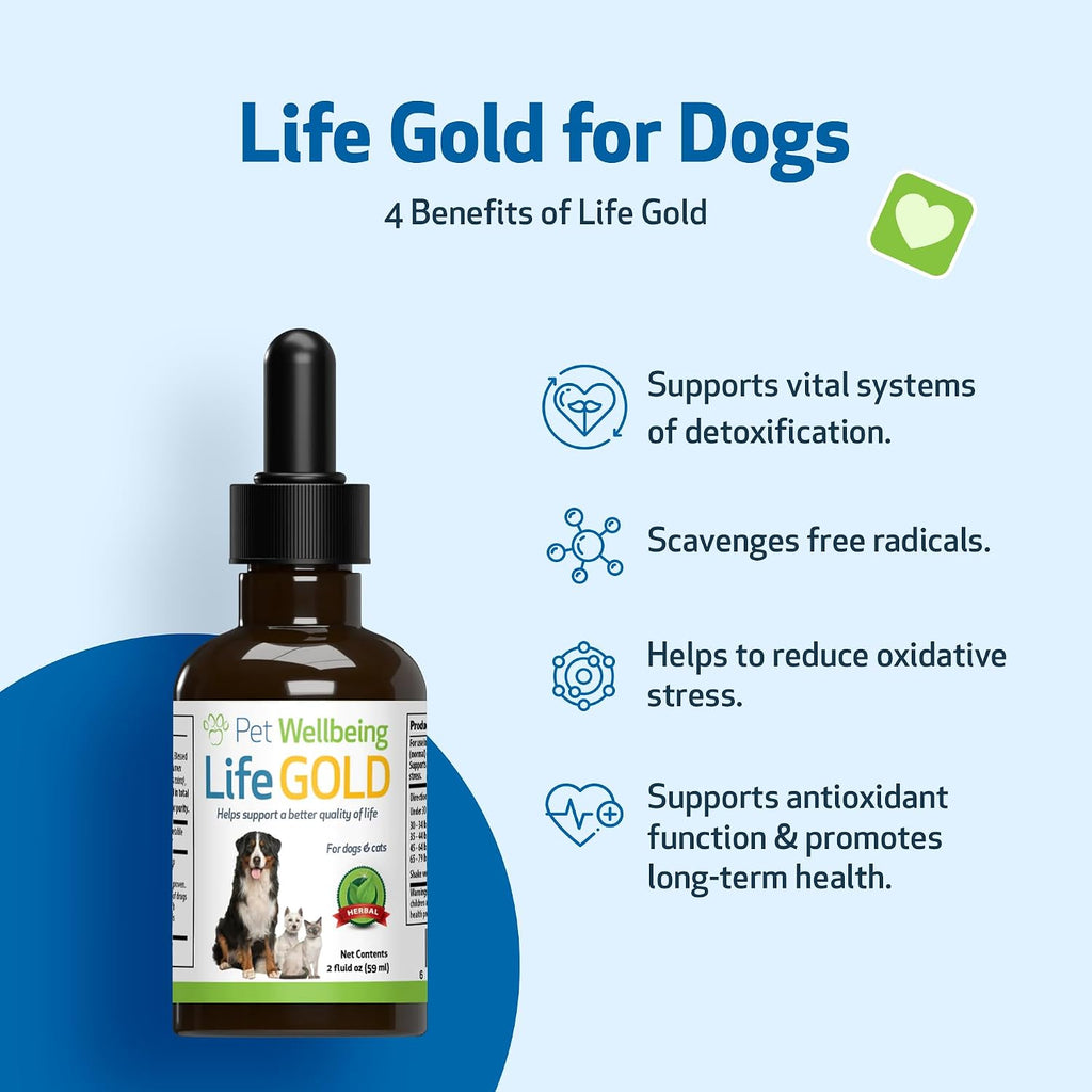 Pet Wellbeing More Mushrooms Kit for Dogs - Immune System Support and Antioxidant Protection - Vet-Formulated with Turkey Tail, Reishi, Maitake, Astragalus