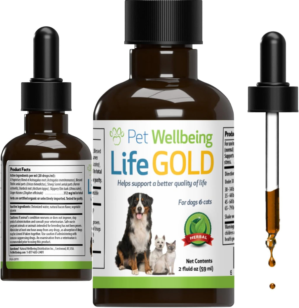 Pet Wellbeing More Mushrooms Kit for Dogs - Immune System Support and Antioxidant Protection - Vet-Formulated with Turkey Tail, Reishi, Maitake, Astragalus