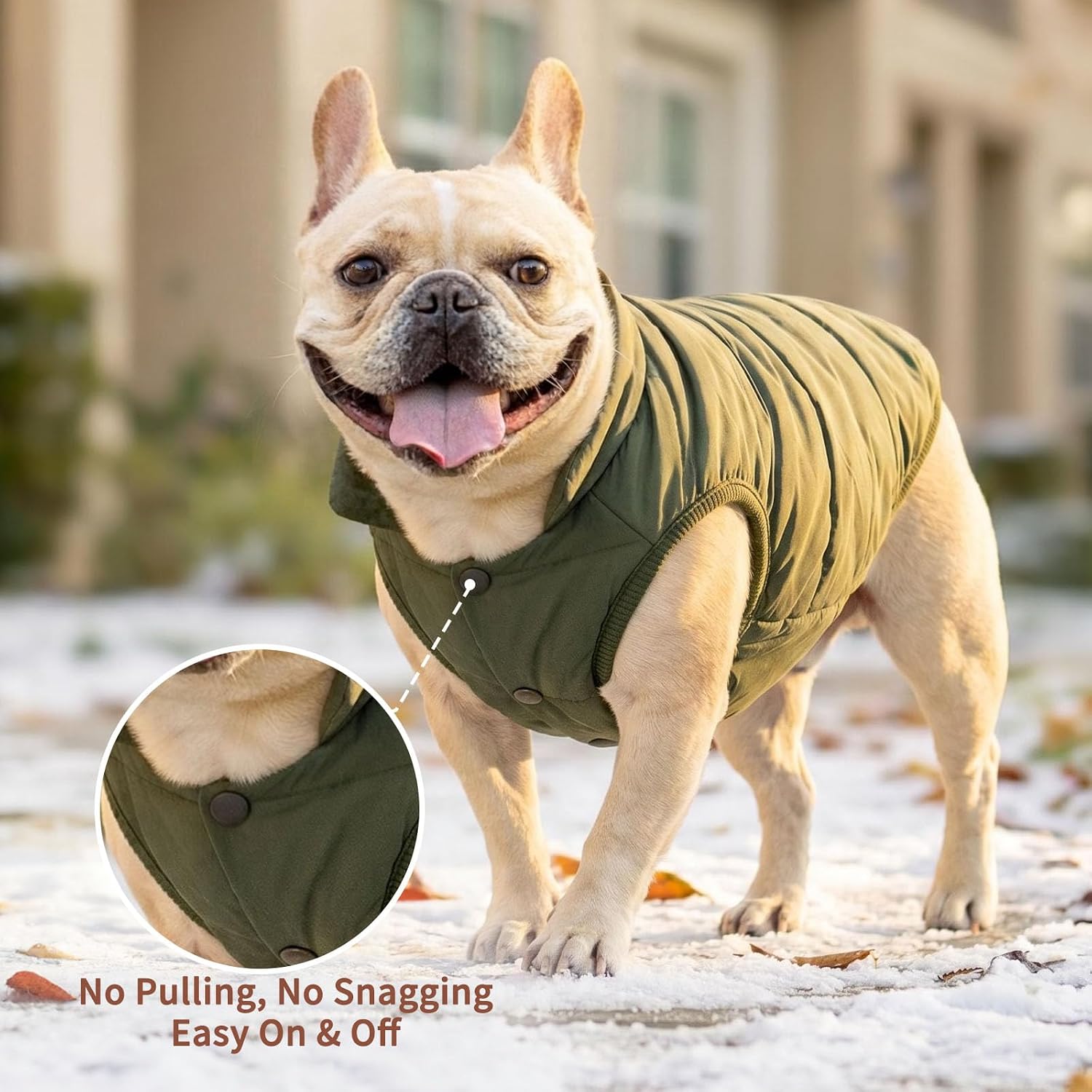 JoyDaog Fleece Lined Dog Jacket for Small Dogs,Winter Dog Coat,Green M