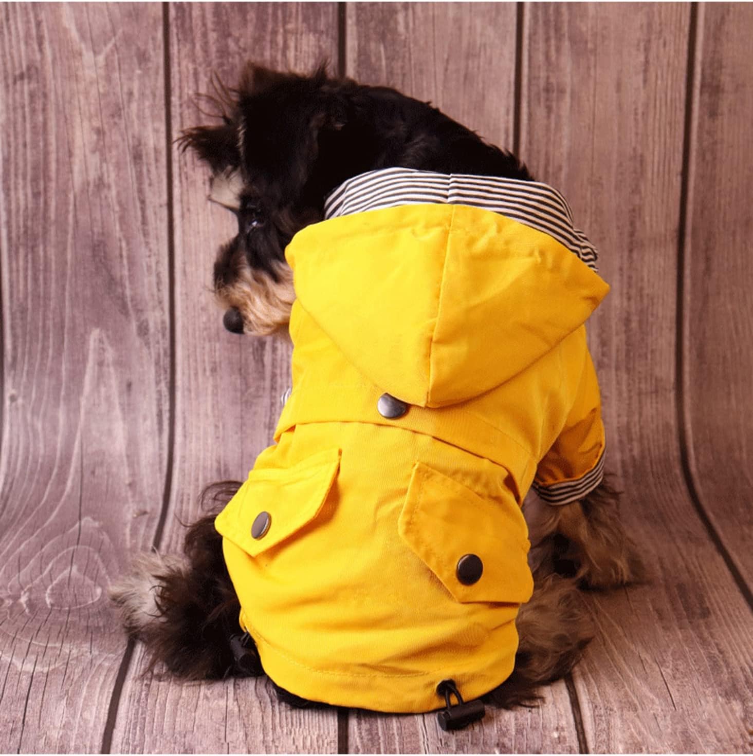 Skateboard Frog Dog Raincoat Jacket Zip up Yellow Hoodie Water Resistant