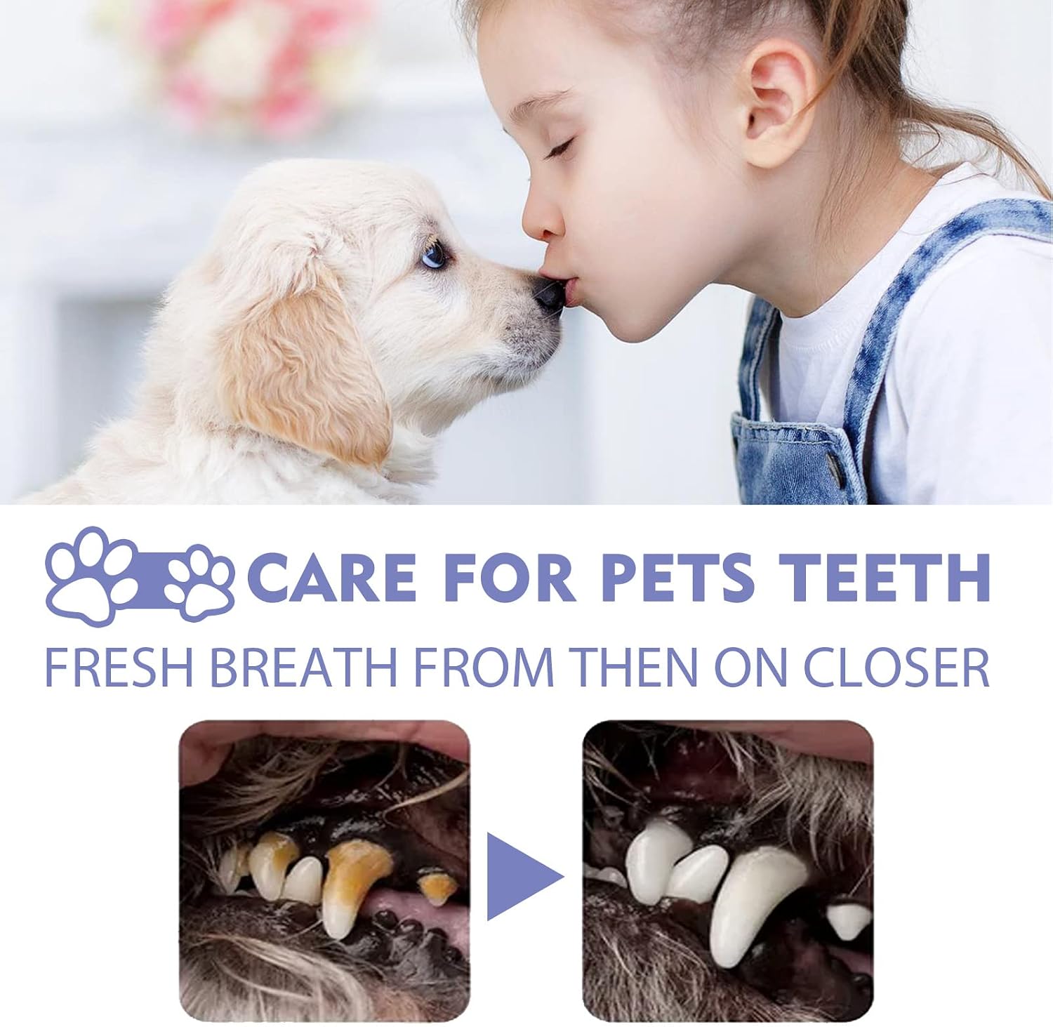 Pet Oral Tartar Remover Spray - Pets Oral Tartars Removers Foaming Tartars