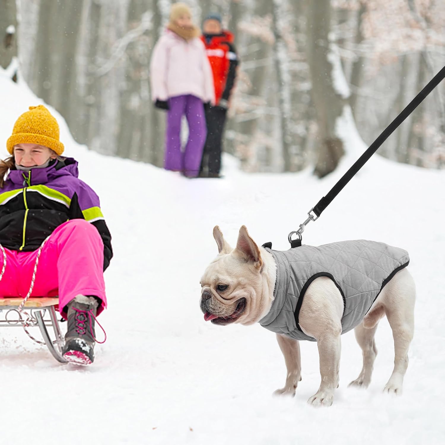 SCENEREAL Winter Dog Vest Coat with Harness Built in