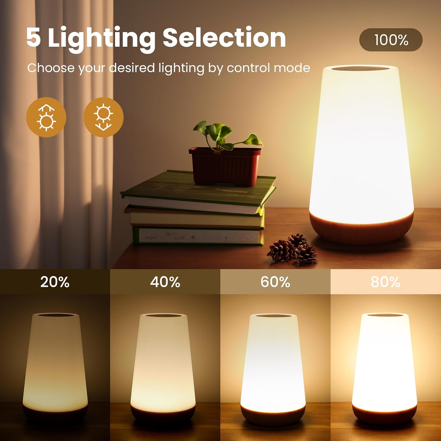 THAUSDAS Telecontrol Night Light Touch Lamp: 13 Colors, 5 Brightness, Brown