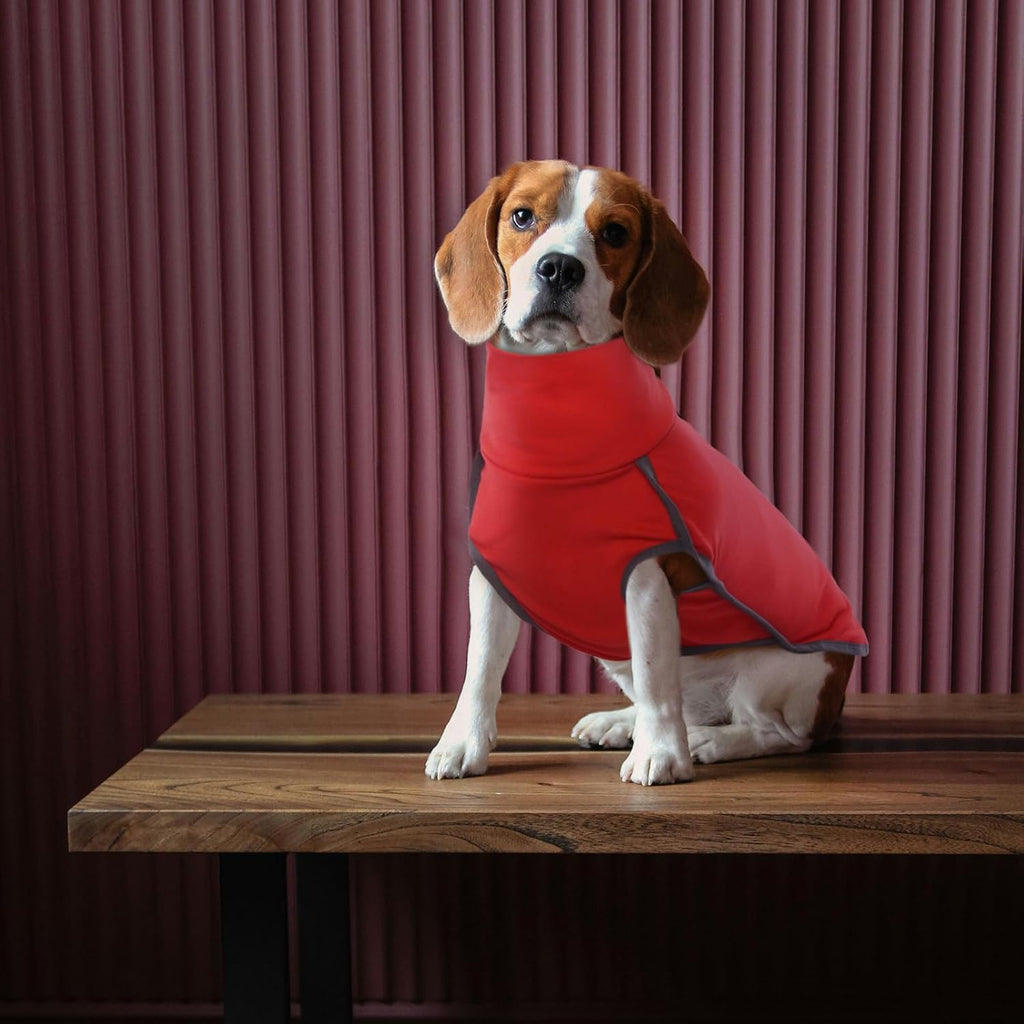 ROZKITCH Dog Sweater S, Warm Turtleneck Shirt for Medium Dogs