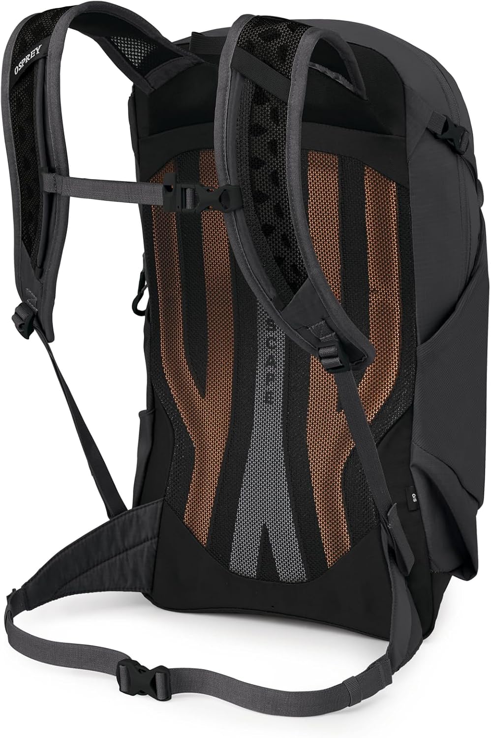 Osprey Sportlite 20L Lightweight Hiking Backpack, Black OS