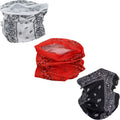Set of 3 Paisley Bandana Neck Gaiter Tube Headwear Motorcycle Face Scarf
