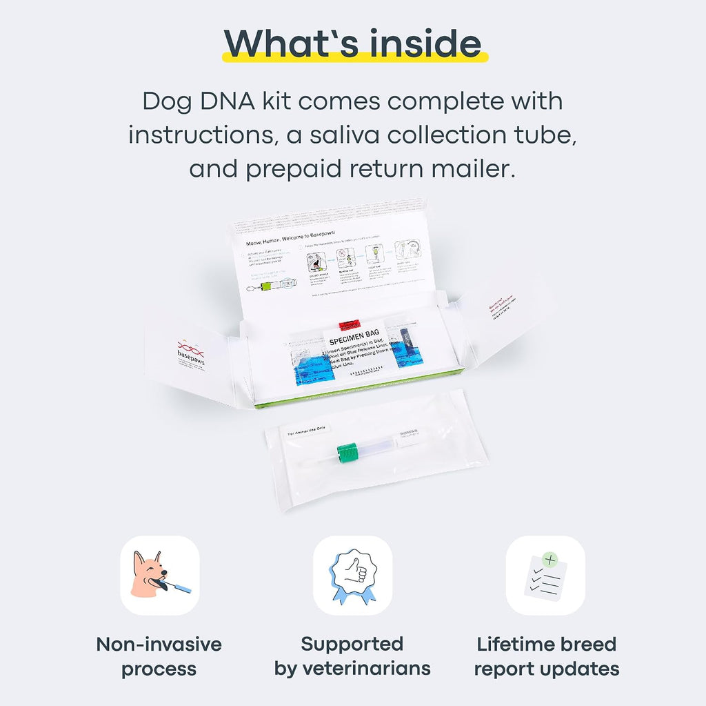 Basepaws Cat DNA Test Kit, Breed, Health & Dental Insights, 114 DNA Traits