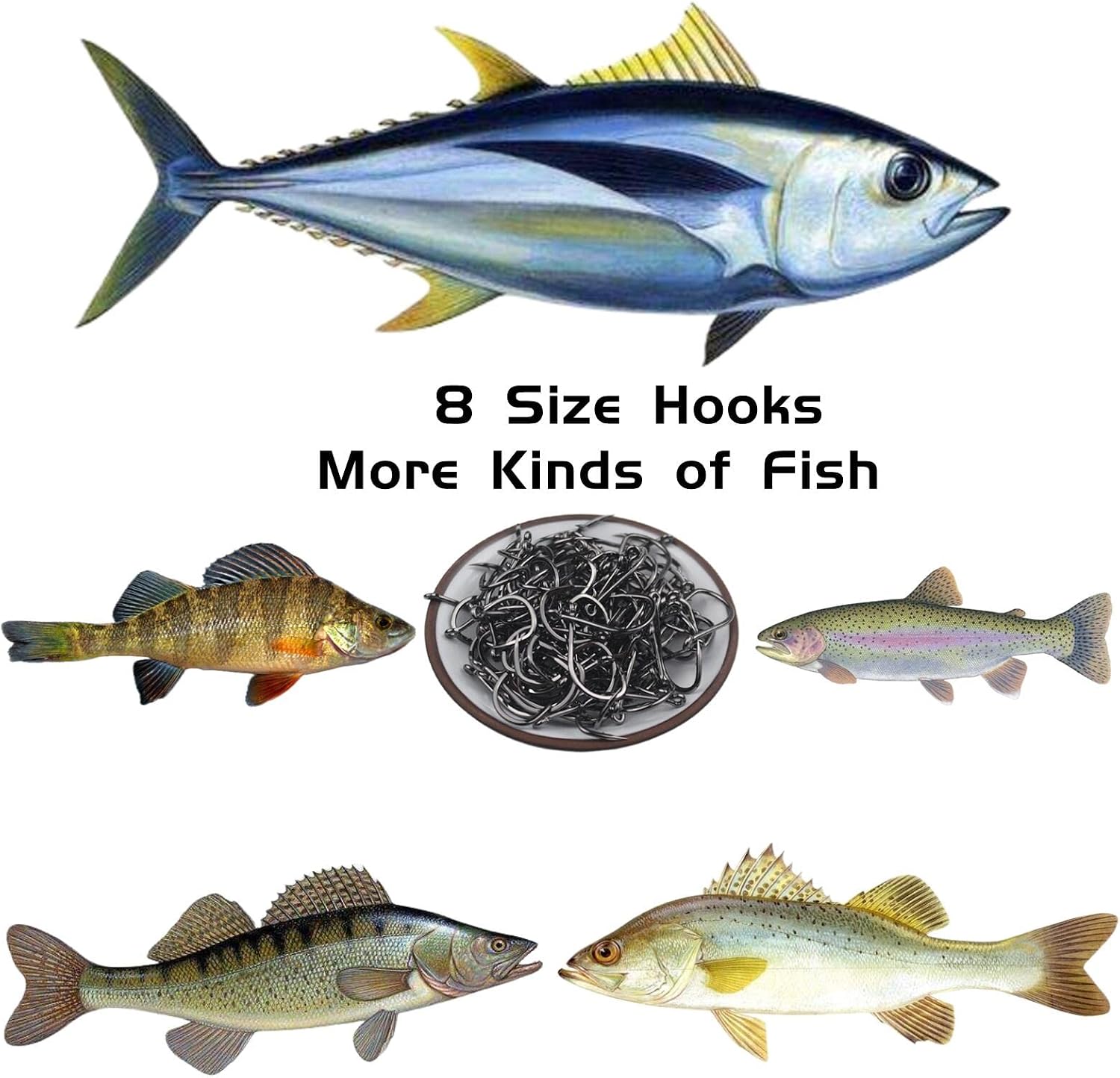 Fishing Hooks Freshwater Saltwater Fish Hooks Bulk Fishing Hooks Set Worm Catfish Hooks Fish Gear Equipment Supplies