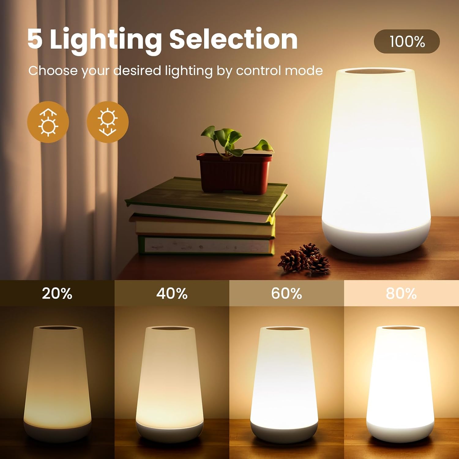 THAUSDAS Telecontrol Night Light Touch Lamp: 13 Colors, 5 Brightness, White