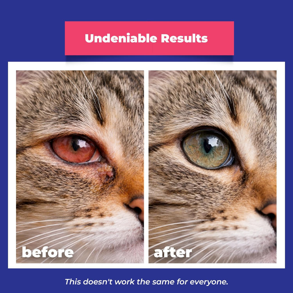 EYEMYCIN Pet Eye Health for Dogs, Cats, Cattle, Sheep, Horses, Birds and Puppies, Kitten (1 Pack)