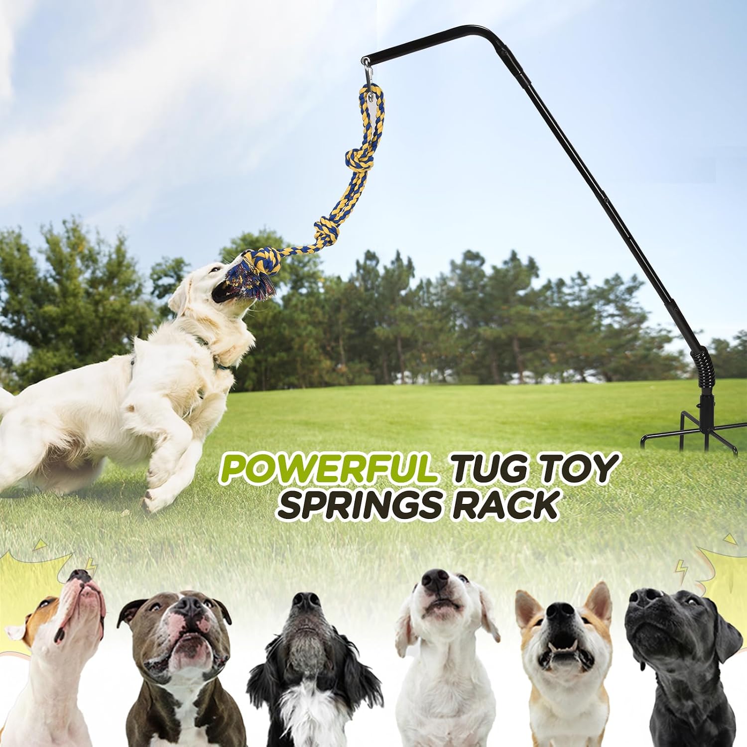 AugFir Tether Outdoor Dog Rope Toy with Strengthen Spring Pole, 3 Kinds Dog Tug of War Toys for Self Play and Interactive in Park, Yard, Lawn Rope, Suitable for Large Medium Small Dogs (Black)