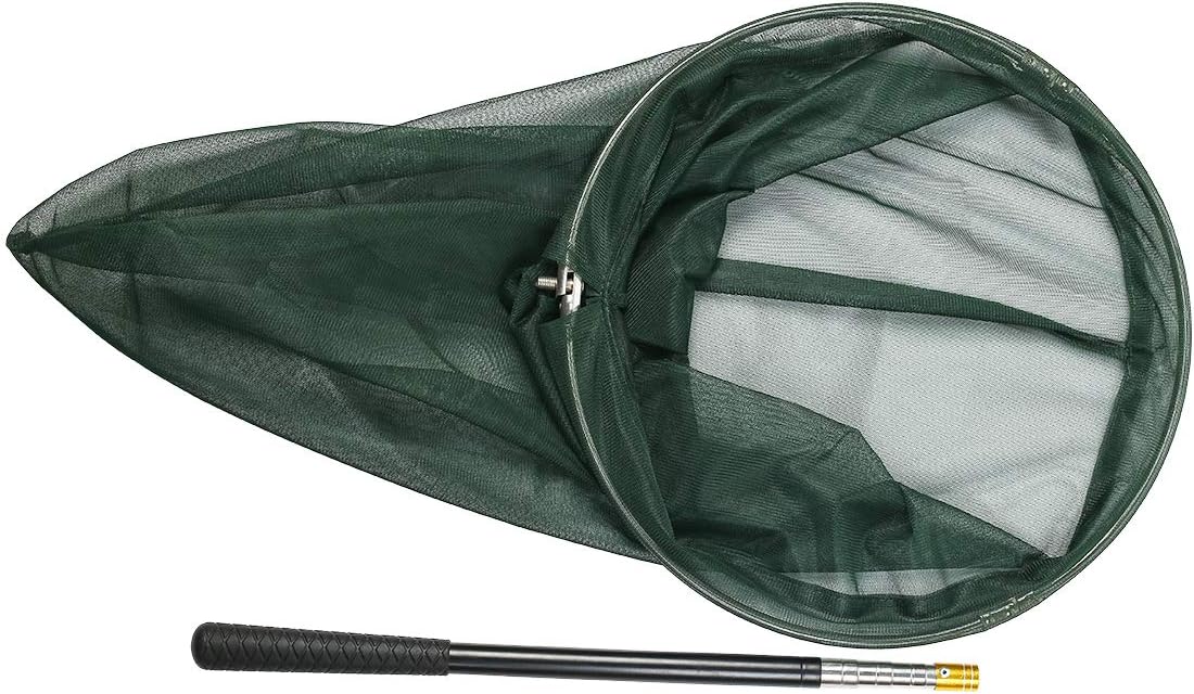 Professional Insect and Butterfly Net with 14" Ring, 26" Net Depth, 59" Telescopic Handle Full Extends to 73" Stainless Lockable