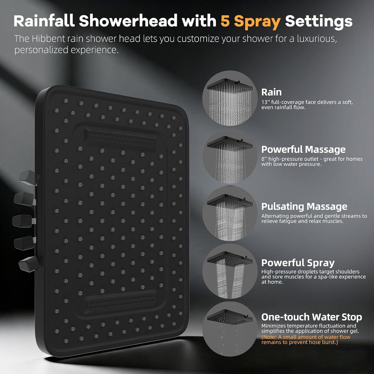 Hibbent 13'' Rain Showerhead Combo, 10 Mode Filtered Handheld Spray, Black
