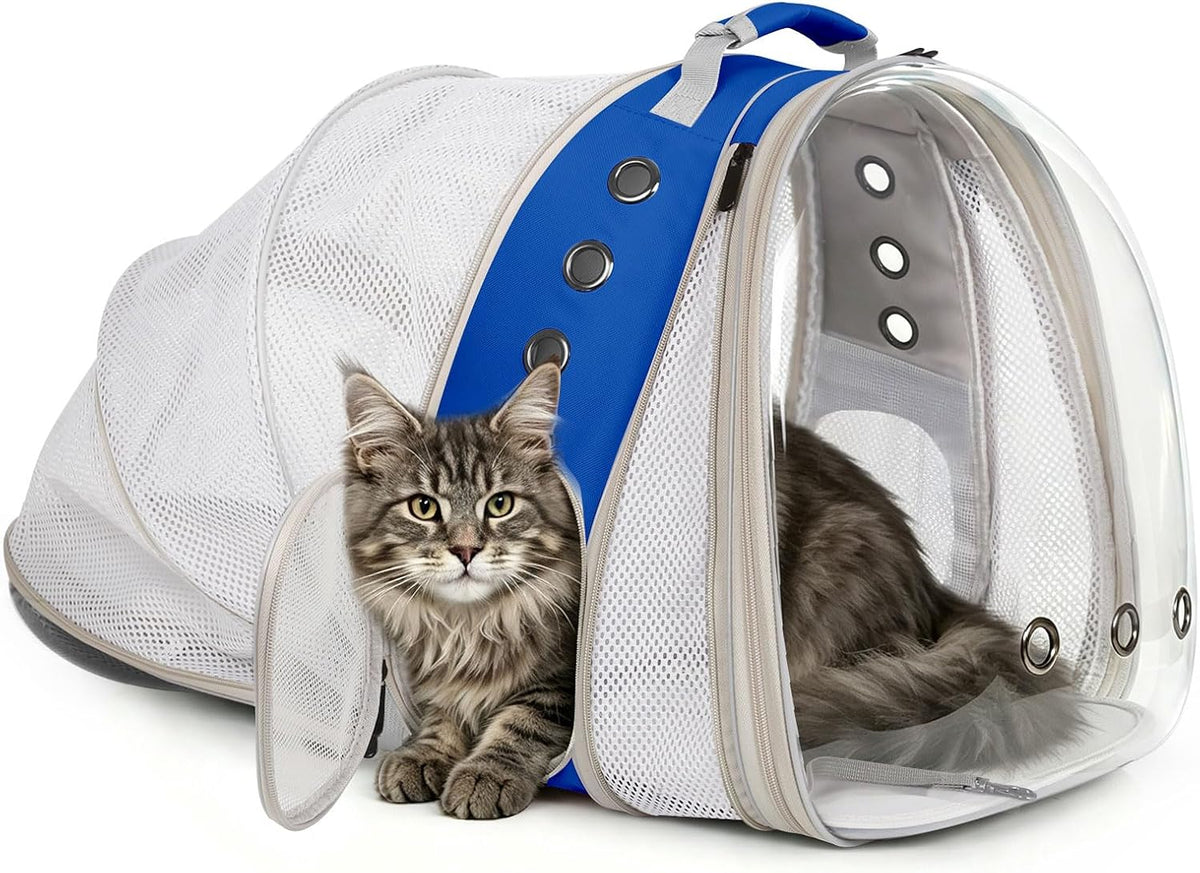Dual Expandable Backpack for Large Cat