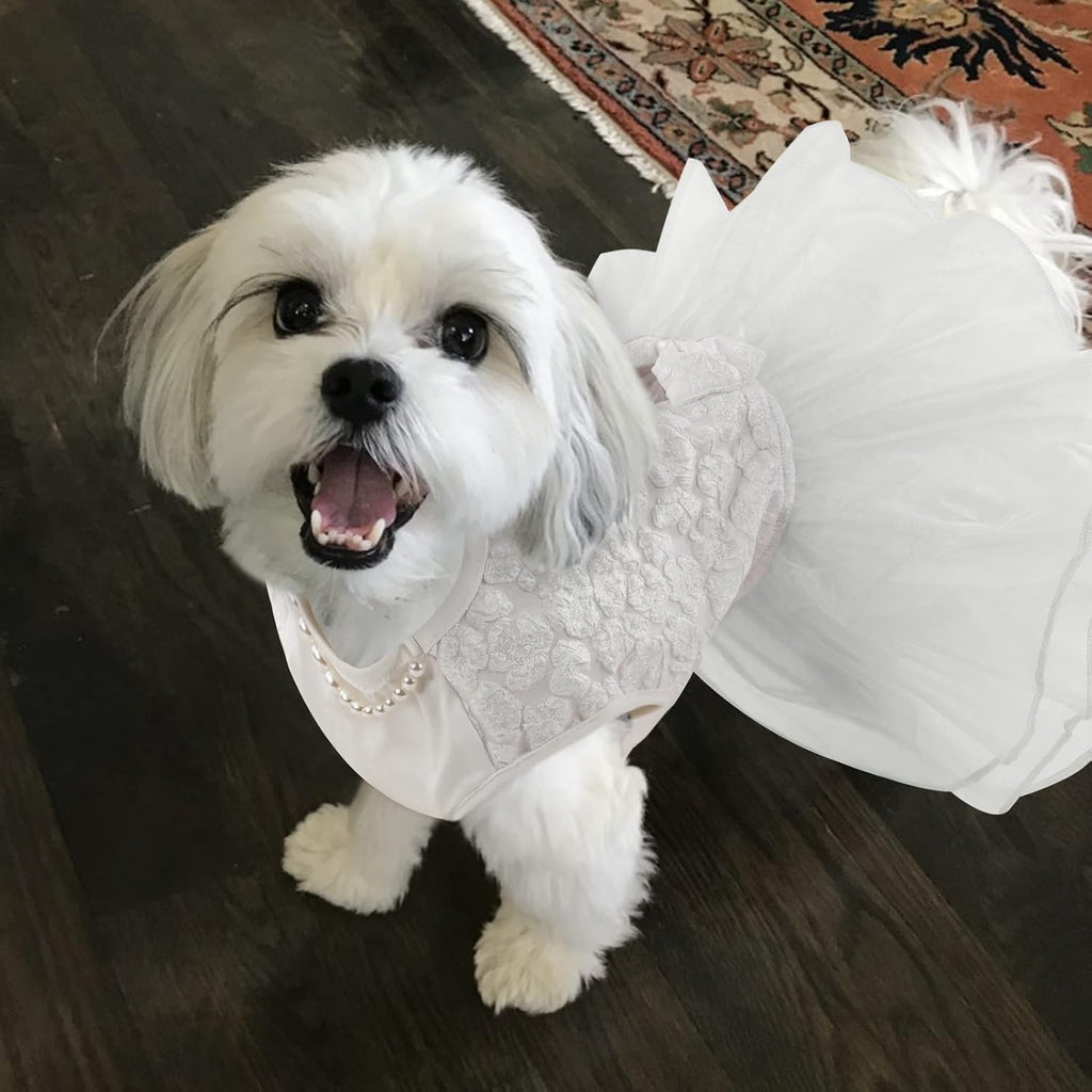 ASENKU Dog Dress, Dog Wedding Dress with Bows, Veil Attachment, White XL