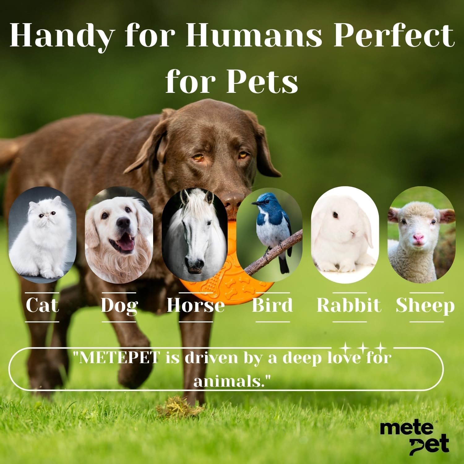 Vetromycin Pet Eye Ointment for Dogs and Cats 1/8 oz /5gr, 1 Tube - Gentle Daily Eye Care, Easy Topical Application