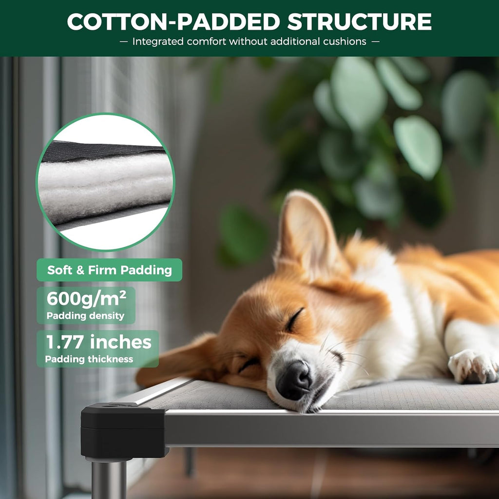 FXW TitanNest Padded Chew-Proof Elevated Dog Bed for Toy Dogs