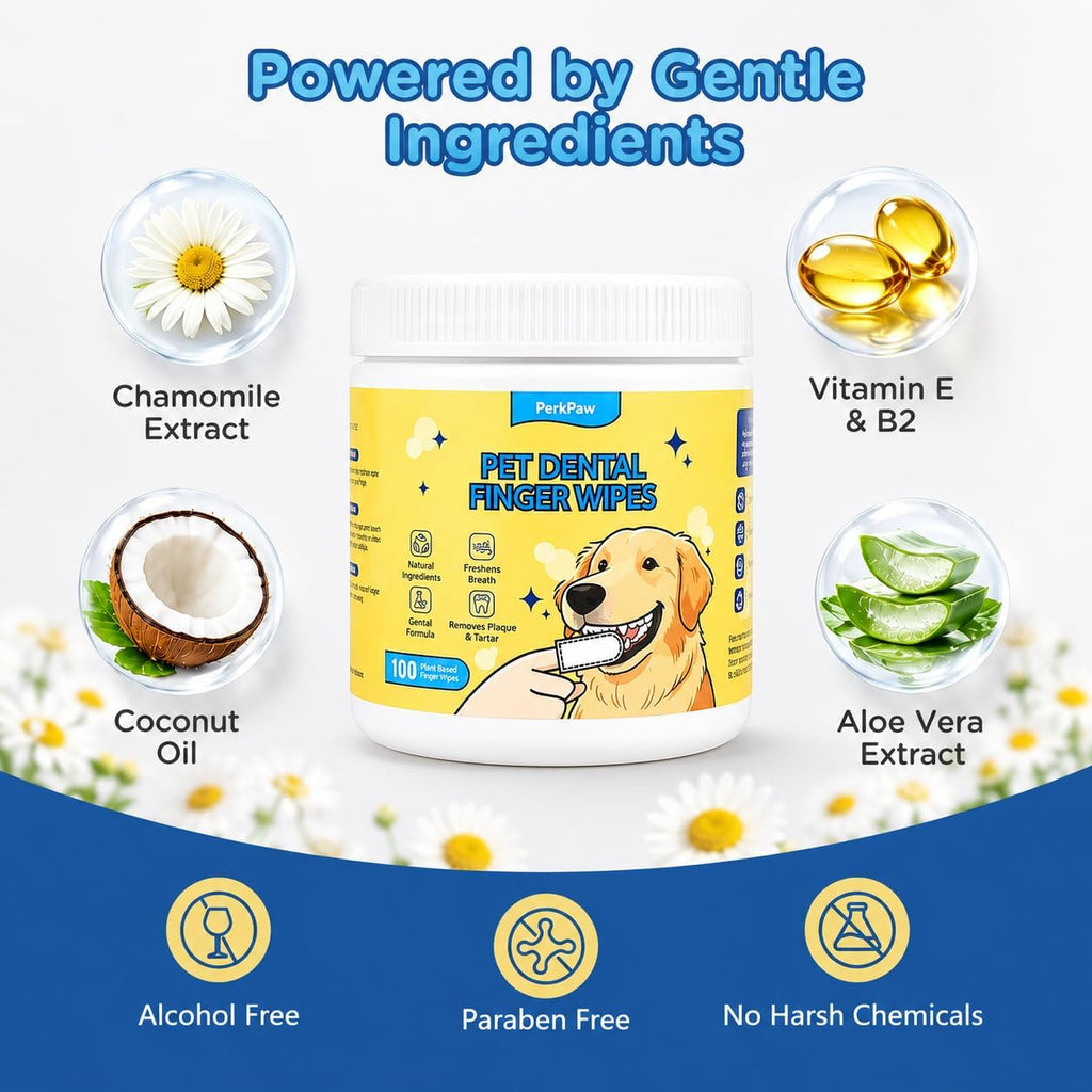 Pet Dental Finger Wipes for Dogs & Cats, 100 Count Pet Teeth Cleaning Wipes, Textured Finger Toothbrush Wipes for Fresh Breath, Plaque & Tartar Care, Gentle No-Rinse Oral Care