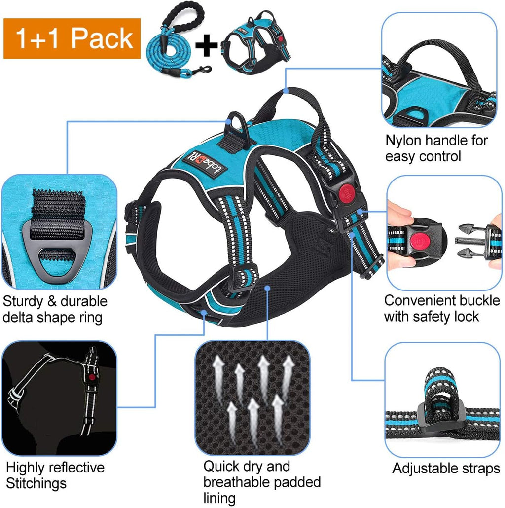 tobeDRI No Pull Dog Harness Adjustable Reflective Oxford Easy Control Medium Large Dog Harness with A Free Heavy Duty 5ft Dog Leash, Blue, L