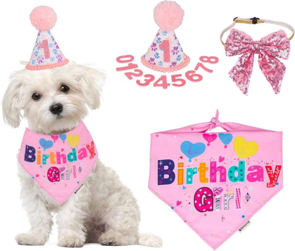 ADOGGYGO Dog Birthday Hat, Pink Birthday Girl Bandana Set, Small