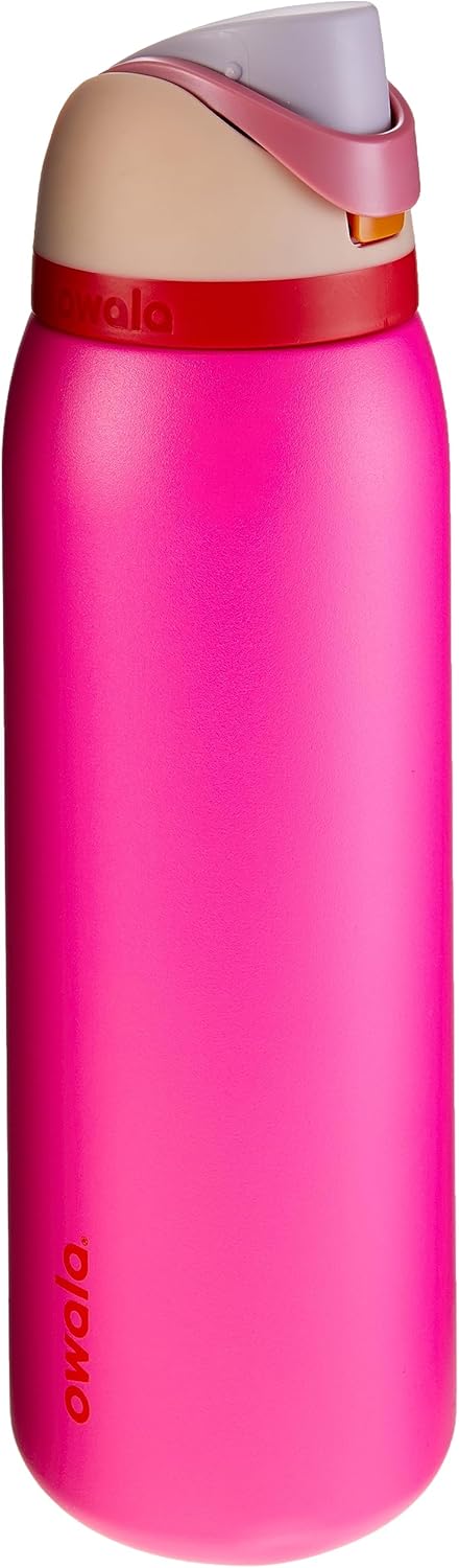 Owala FreeSip Stainless Steel Water Bottle 24 oz Grey/Green (Neo Sage)