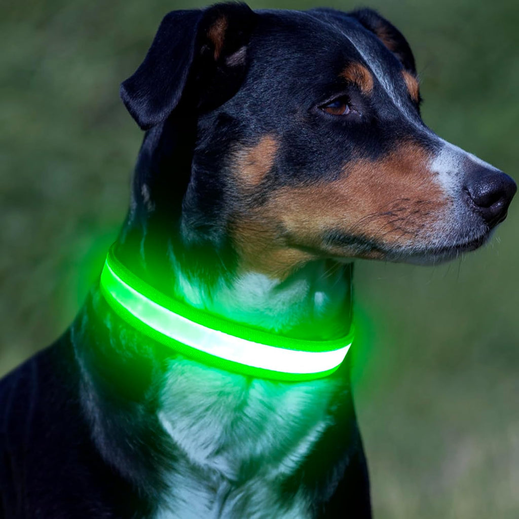 Vizpet LED Dog Collar, Light Up Dog Collar Adjustable USB Rechargeable Super Bright Safety Light Glowing Collars for Dogs(X-Large,Green)
