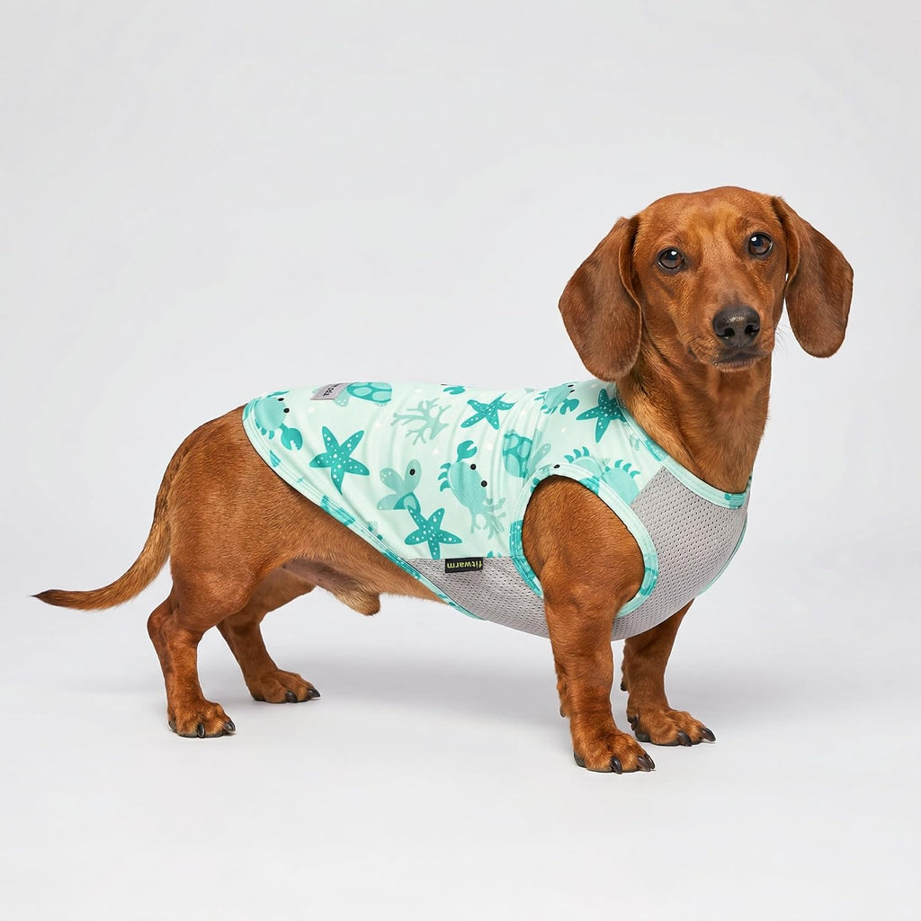 Fitwarm 2 Pack Marine UPF 50+ UV Sun Protection Dog Shirt, Lightweight Cooling Vest, Quick Dry Summer Clothes for Small Dogs Boy Girl, Pet Outfit, Sky Blue, Mint Green, Small