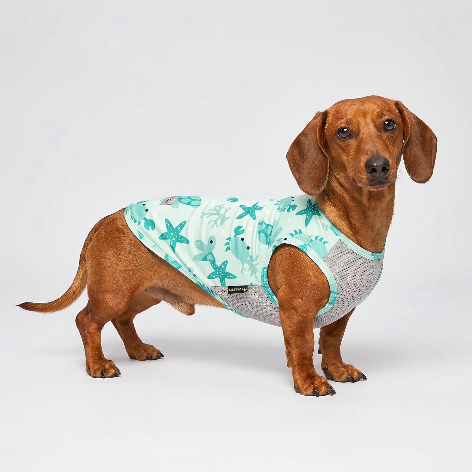 Fitwarm 2 Pack Marine UPF 50+ UV Sun Protection Dog Shirt, Lightweight Cooling Vest, Quick Dry Summer Clothes for Small Dogs Boy Girl, Pet Outfit, Sky Blue, Mint Green, Small