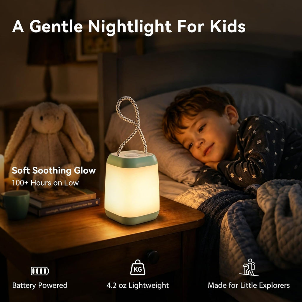 HOKOILN 2-Pack LED Camping Lights Battery Powered Portable Tent Lantern