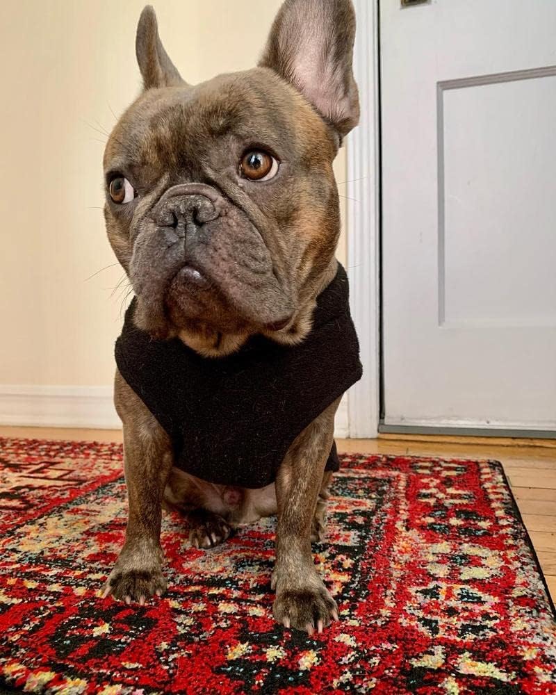 Gooby Stretch Fleece Vest Dog Sweater, Black, Medium