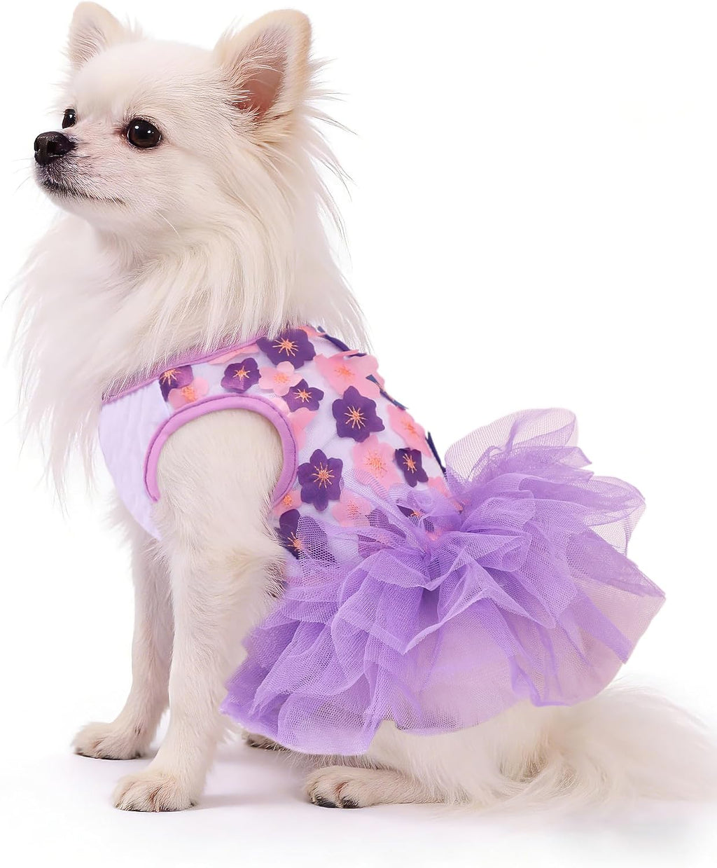 Dog Dress, Fashion Puppy Tutu Princess Dresses for Small Dogs Girl, Sweet Skirt with Dog Bowknot Clips, Spring Dog Cat Clothes Pet Apparel (Purple Floral Dress, XX-Small)