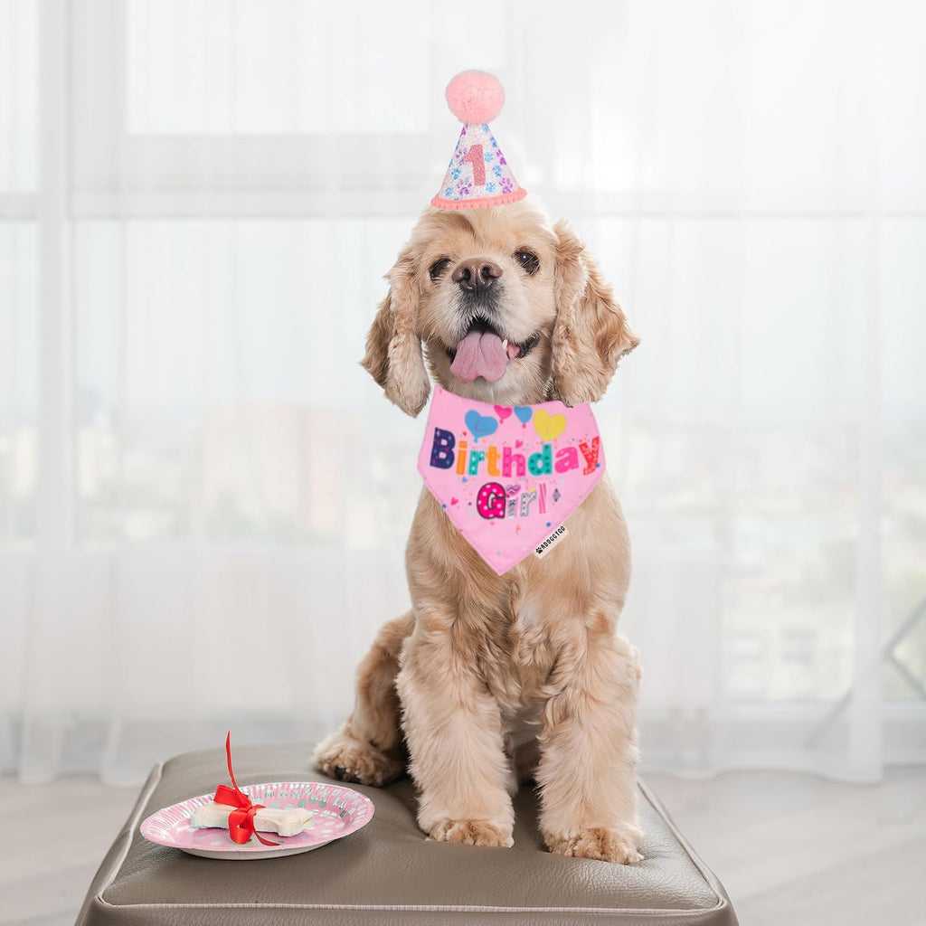 ADOGGYGO Dog Birthday Hat, Pink Birthday Girl Bandana Set, Small